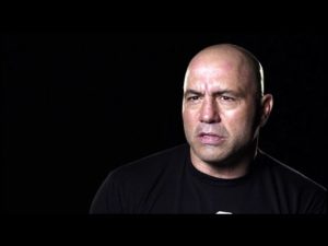 ufc 202