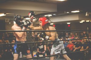 UFC White House 2026 event preview